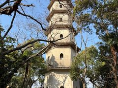 -江心屿景区