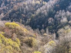 -玉渡山自然风景区