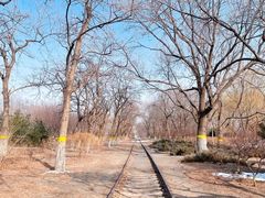 -永定河休闲森林公园