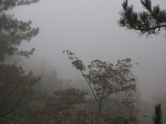 临安大明山景区-大明山自然探索公园