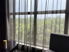 -常州环球恐龙城维景国际大酒店
