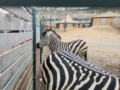 -大连森林动物园