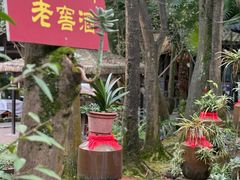 -土砂锅生态山庄·非遗砂锅雅鱼
