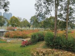 -光明小镇欢乐田园