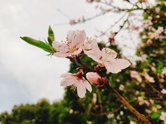-美兰湖景区