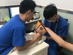 -美美宠物诊疗中心·异宠·骨科(滨江东信分院)
