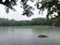 -西湖游船