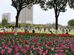 -院士公园