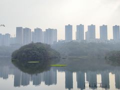 -重庆彩云湖湿地公园