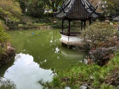 -上海醉白池公园