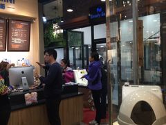 -宠小格时尚宠物生活馆(唐镇店)