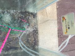 iphone_upload_pic-三亚海韵度假酒店·渔人码头海鲜火锅BBQ自助餐厅·落日吧