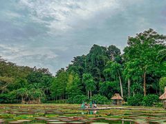 -中国科学院西双版纳热带植物园