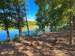 -马上汽车(东沙湖店)