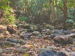 -梧桐山风景名胜区