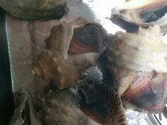 -泰白海鲜烧烤大全