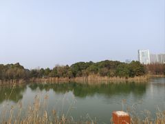 -艾溪湖湿地公园