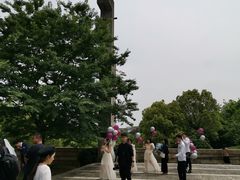-美丽洲堂