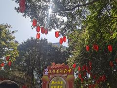 -越秀西湖花市(广州城市广场花卉店)