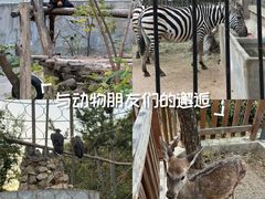 -石家庄市动物园