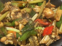 啫啫田鸡-如轩海鲜砂锅粥(名都店)