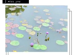 -白沙门生态公园