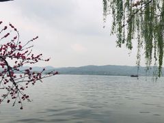 -苏堤停车场