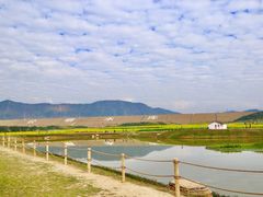 -光明小镇欢乐田园