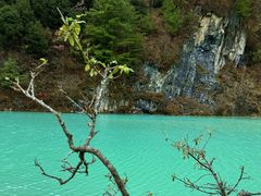 -秦岭风景区