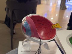 -武汉大学附属爱尔眼科医院(湖北总院)