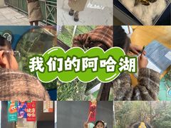 -阿哈湖国家湿地公园