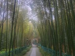 -西湖风景区十里琅珰-五云山