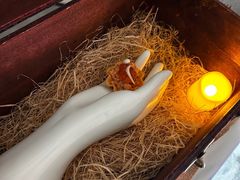 -尼依格罗香港美利酒店