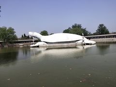 -东方巨龟苑景区