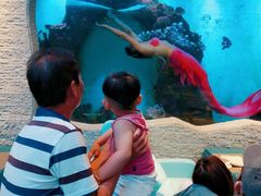 -瑞德姆美人鱼海底演艺主题餐厅(亚龙湾店)