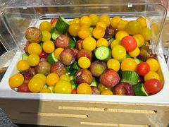 -菌自由丨野生菌火锅特色庭院餐厅(丽江古城店)