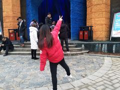 -梦幻奥陶纪景区