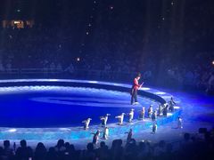 -珠海横琴长隆《卡卡虎奇遇记》