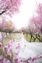 -韩国色色婚纱摄影(好评优选店)