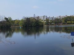 -新江湾城公园