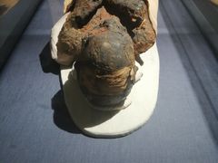 -浙江西湖美术馆