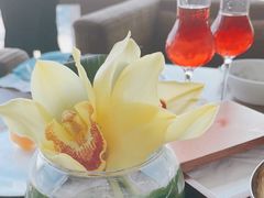 -利苑酒家(合景国际金融广场店)