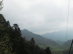 朱雀森林公园-朱雀国家森林公园