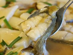 舟山大黄鱼烧年糕-老吉堂上海本帮菜(望京万象汇店)