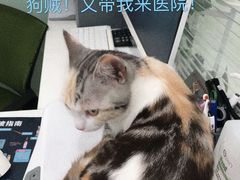 -悦宠凯宝动物医院·牙科·皮肤科(朝阳北路店)