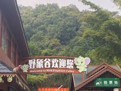 -野象谷景区