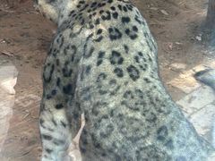-青藏高原野生动物园