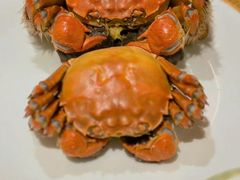 -王宝和酒家(黄浦店)