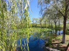 -永定河休闲森林公园