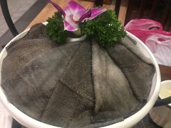 -小天鹅火锅·一线江景洪鼎旗舰店(洪崖洞店)